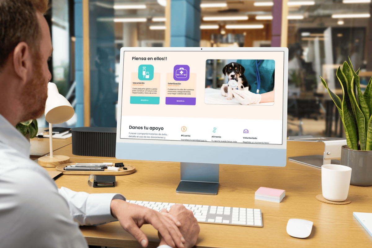 Nina Zambrano Diseñadora UI/UX Nina Zambrano Diseñadora UI/UX